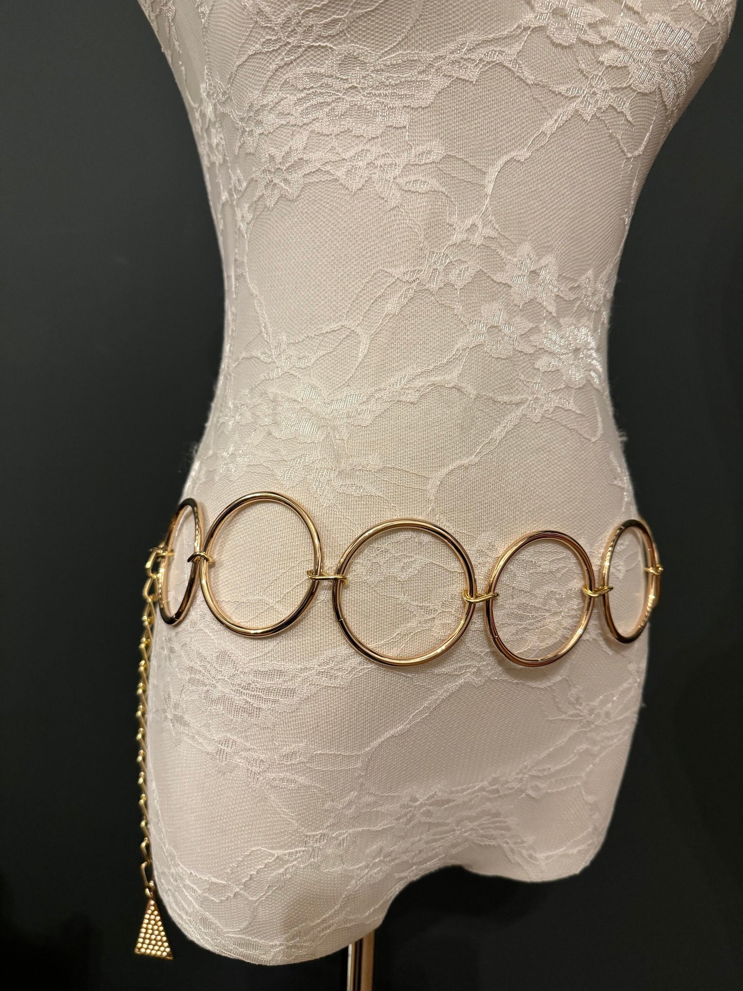 X-long Belt, High Quality Ring Belt, Silver, Gold Rings Belt, Silver, Belt, Fashion Belt, Rings, 6cm Rings, Sizes 18”-60”, FAN Design