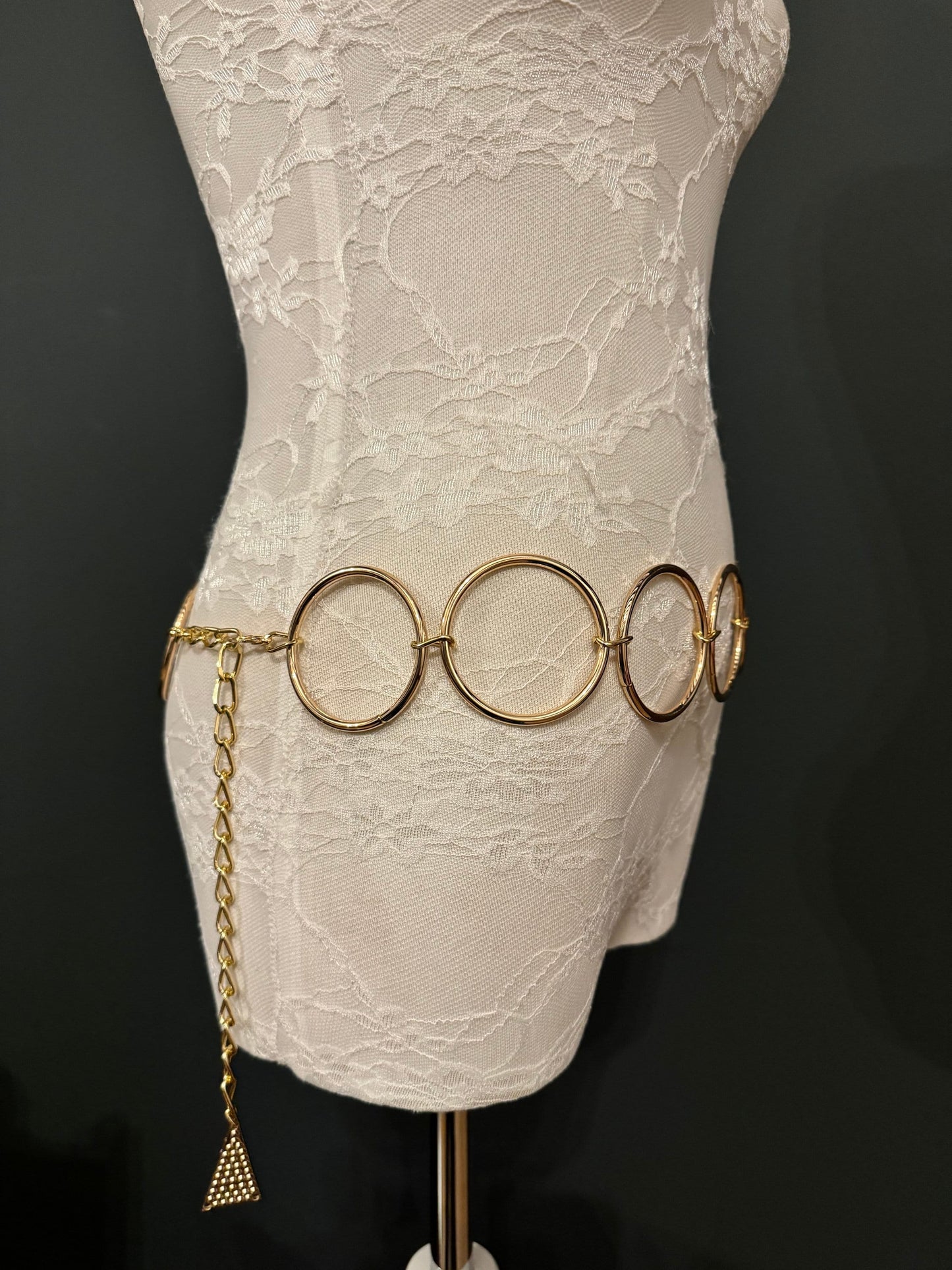 X-long Belt, High Quality Ring Belt, Silver, Gold Rings Belt, Silver, Belt, Fashion Belt, Rings, 6cm Rings, Sizes 18”-60”, FAN Design