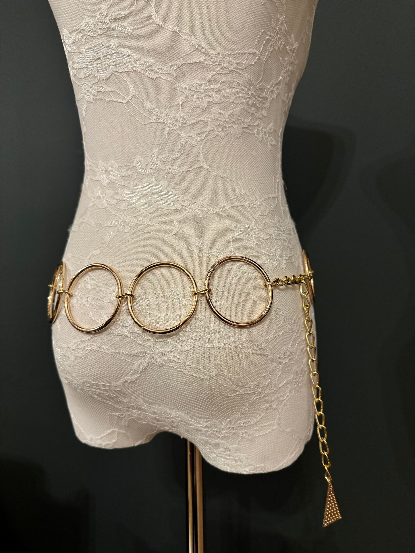 X-long Belt, High Quality Ring Belt, Silver, Gold Rings Belt, Silver, Belt, Fashion Belt, Rings, 6cm Rings, Sizes 18”-60”, FAN Design